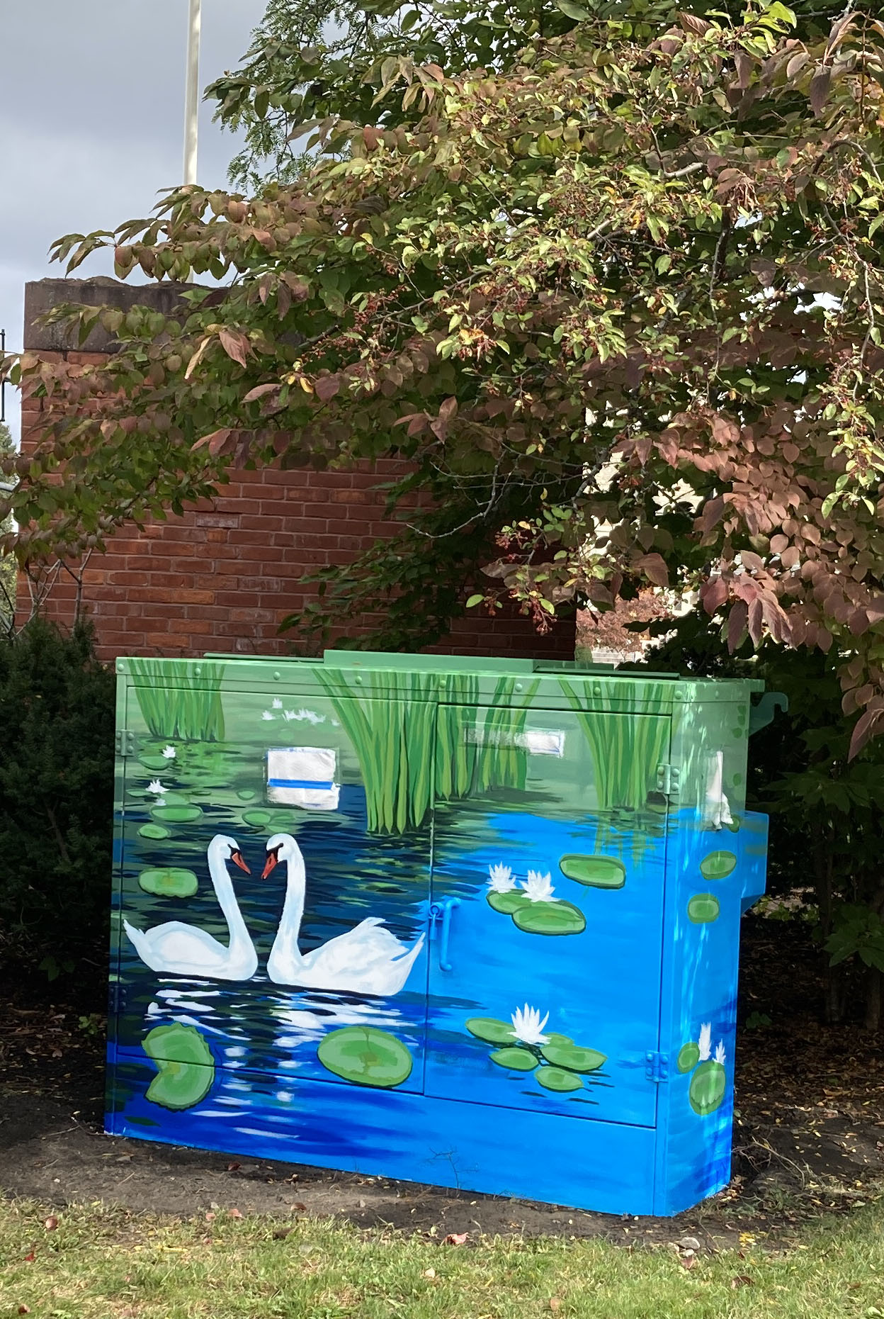 Swans on utility box