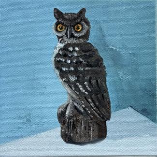 Owl