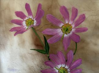 Plymouth Gentian on vellum