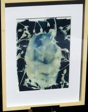 Cyanotype, Brioch Ochoa